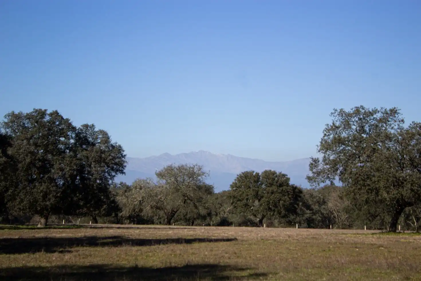 Grundstücke zum Verkauf in Torralba de Oropesa