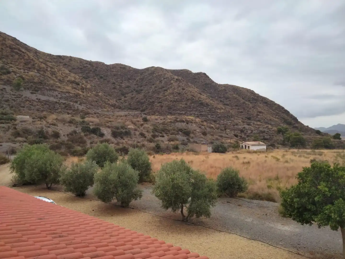 House with pool for sale in Las Lomas - Las Yucas, imagen 28