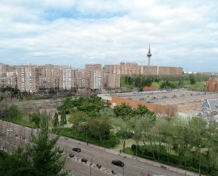 Dúplex de lloguer a Calle del Camino de los Vinateros, Marroquina