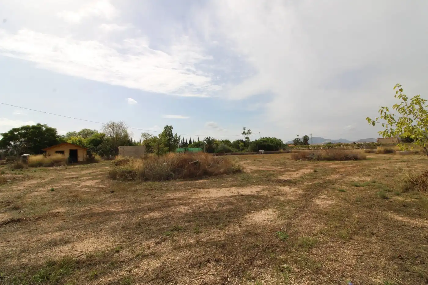 Residential land for sale in Novelda, imagen 4
