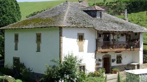 BONITA CASA ASTURIANA DE PIEDRA CON PARCELA DE 1050 M2.
