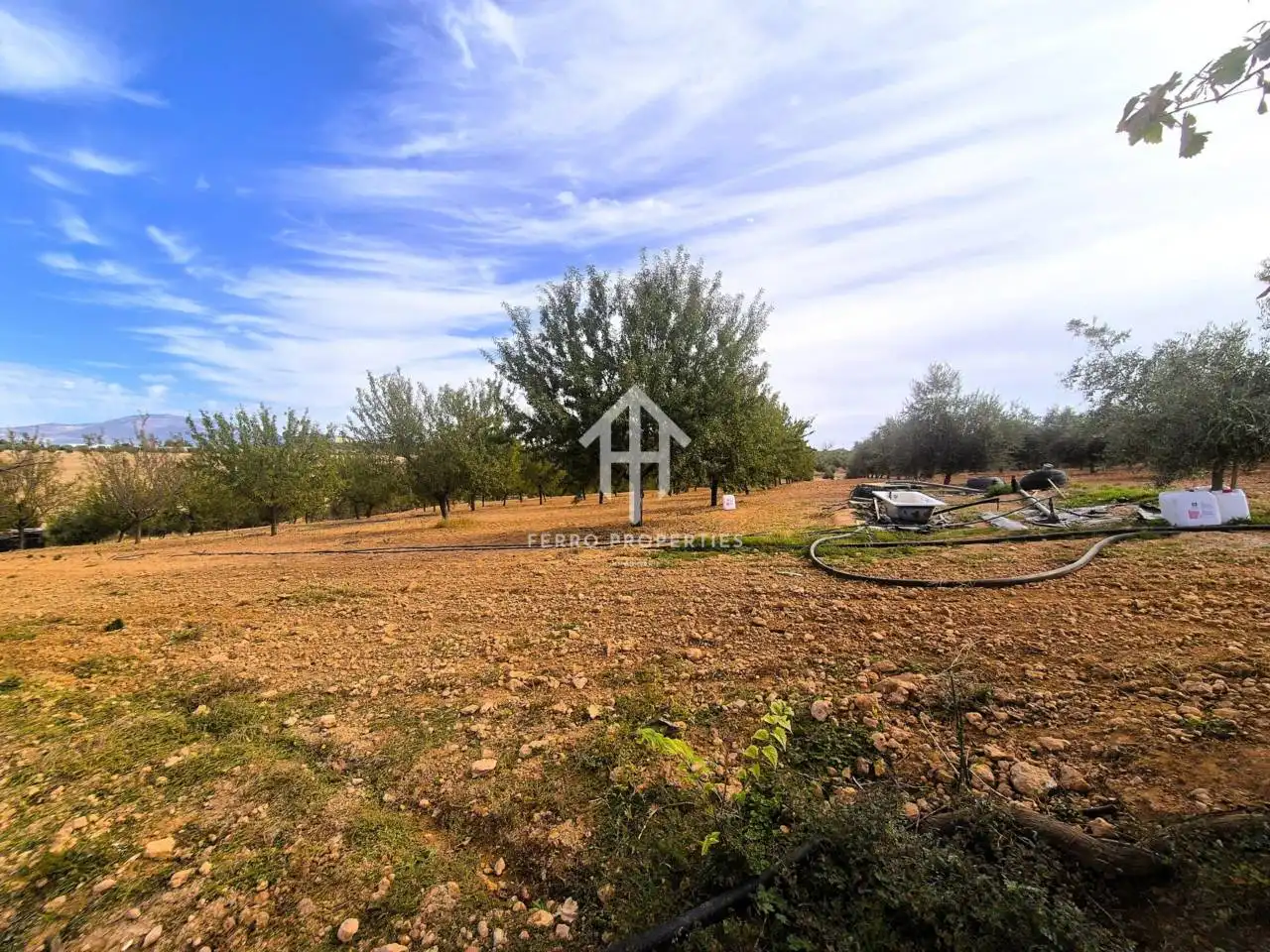 Rural land for sale in Moraleda de Zafayona, imagen 23
