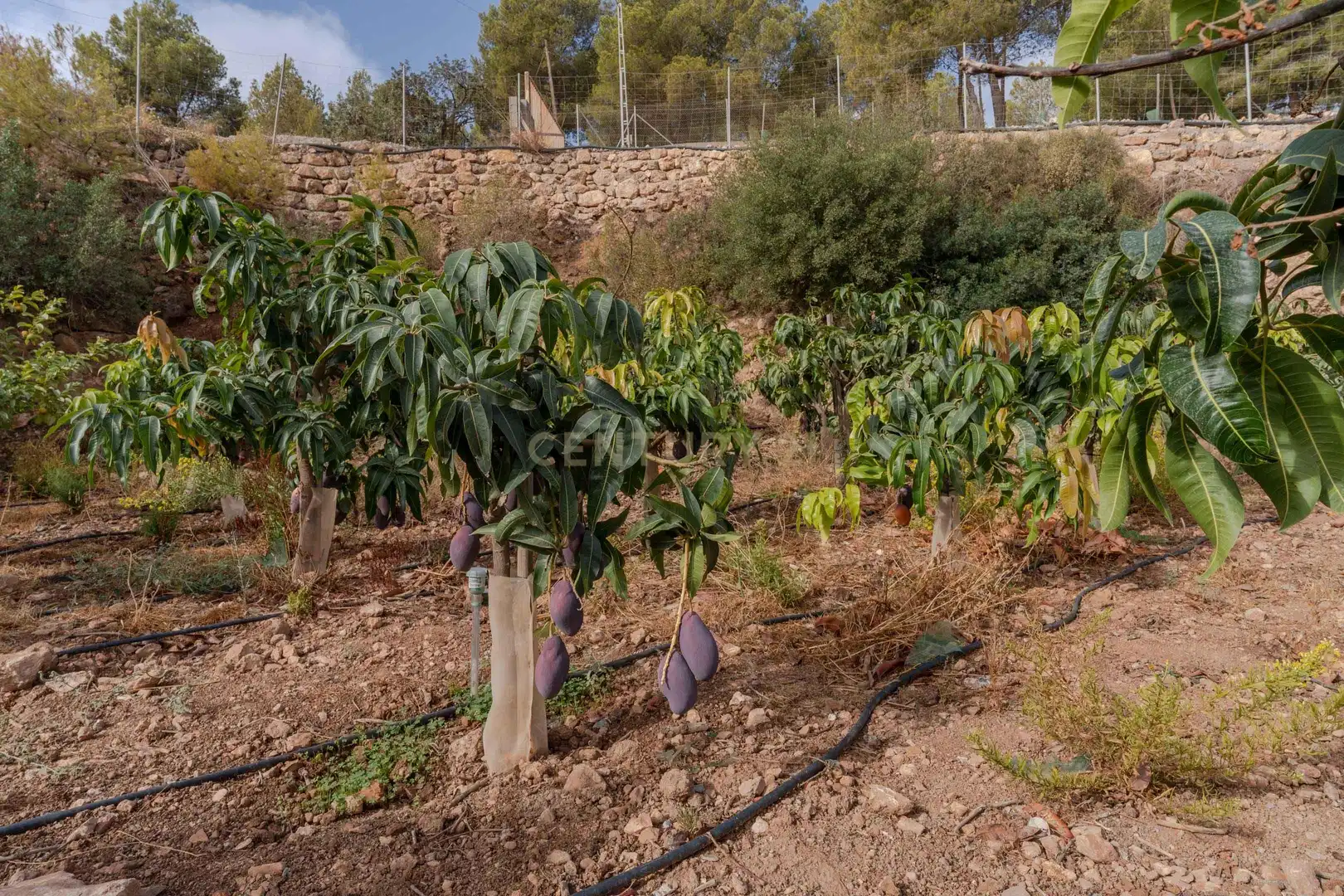 Terreni e lotti in vendita a PHPX+WF Gualchos, Spain, imagen 35