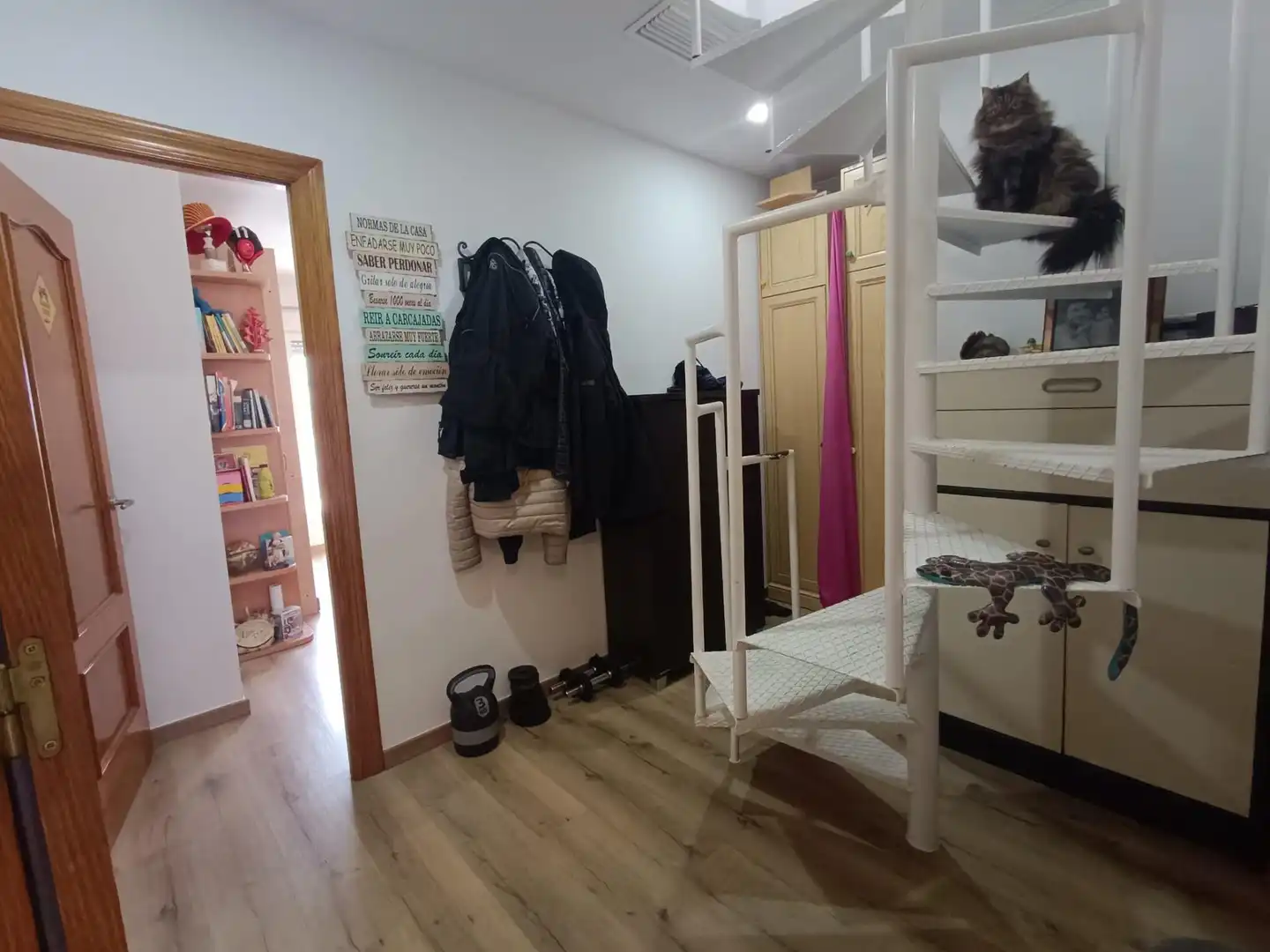 Casa o chalet en venta en Petrer con Aire acondicionado, Terraza y Trastero