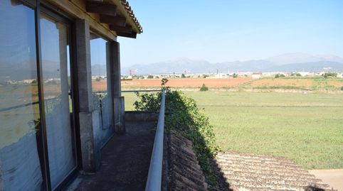 Finca rústica con casa de campo  con hermosas  vistas a la Serra de Tramuntana en Muro, imatge 5