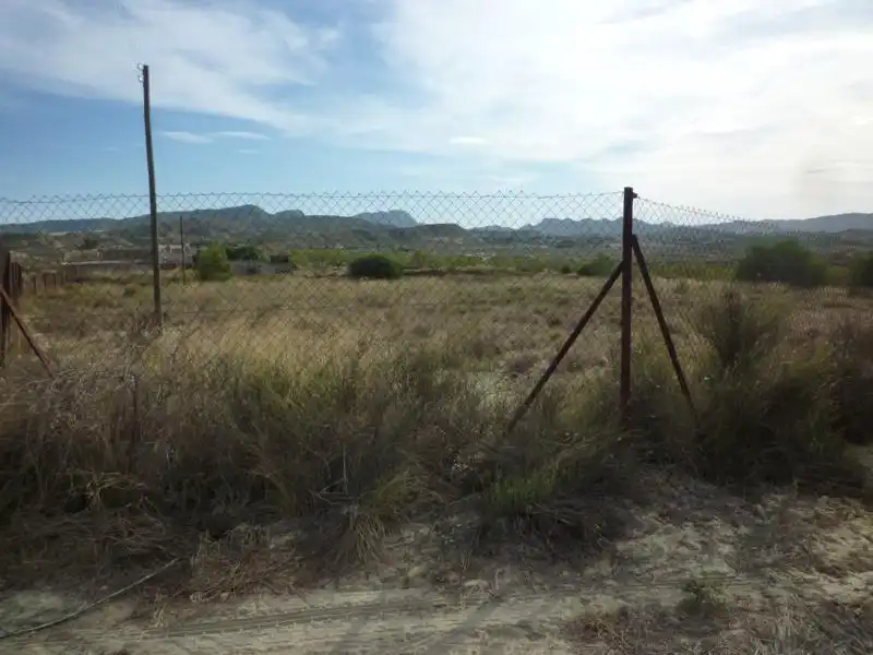 Terreno rustico in vendita a CV-925 24, imagen 6