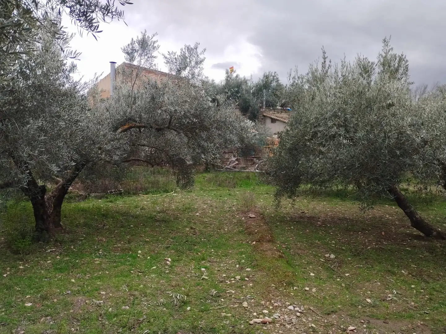 Terreni e lotti in vendita a Camino del cerro poligono 3 parcela, imagen 14