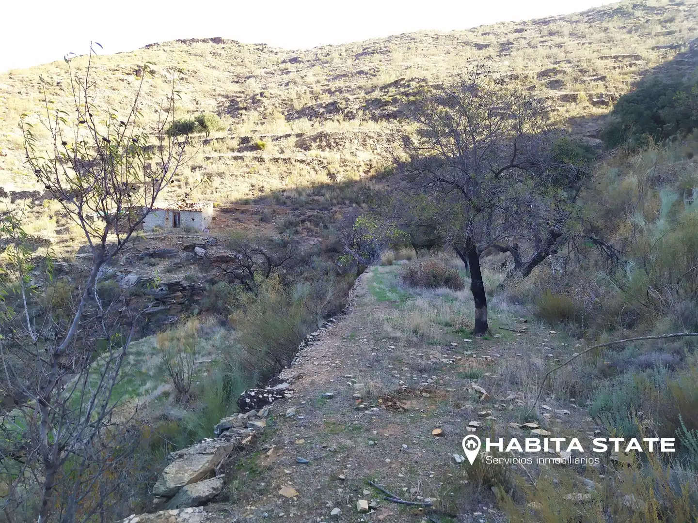 Land for sale in Benizalón