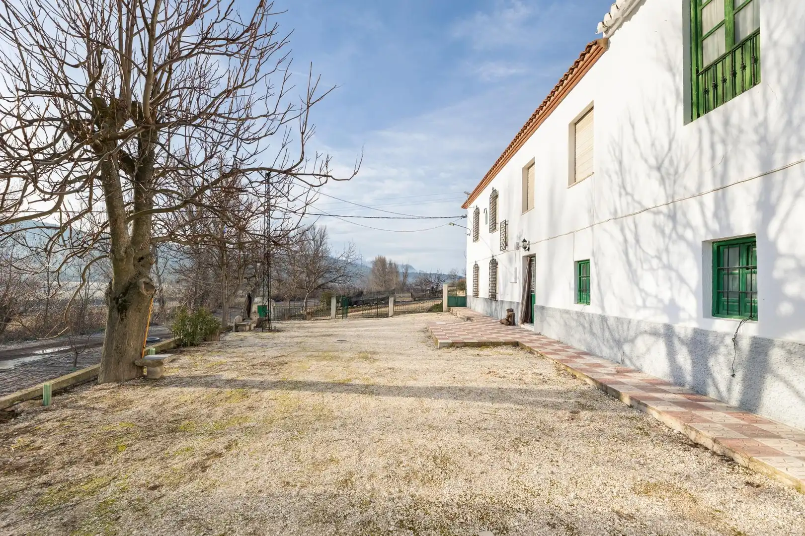 Vista exterior de Finca rústica en venta en Píñar
