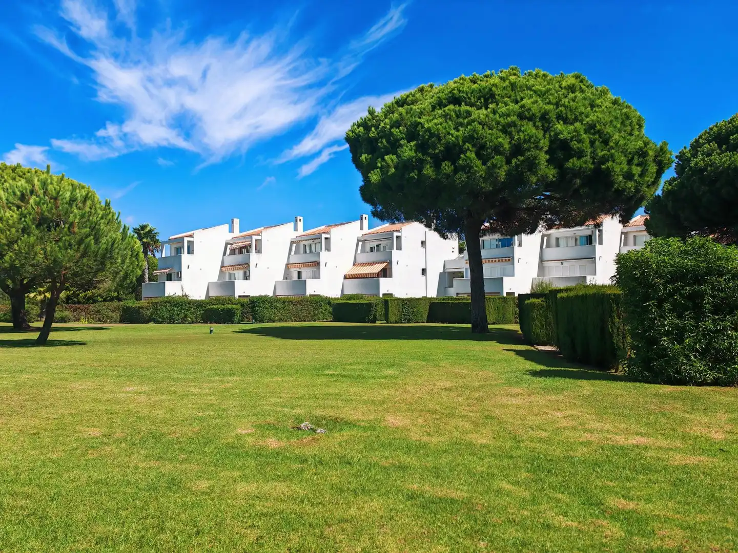 Apartamento con terraza en venta en Novo Sancti Petri, imagen 2