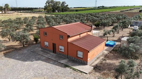 Foto 2 de Finca rústica en venta en Lebrija, Sevilla