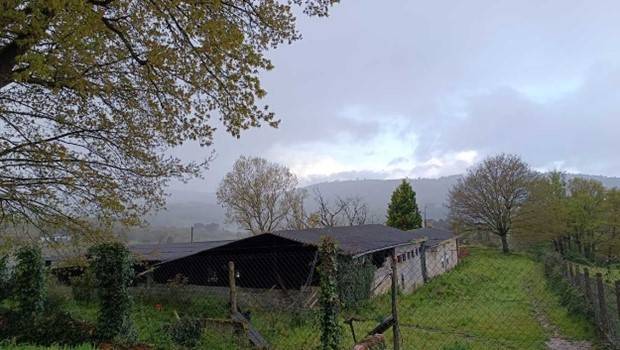 Finca rústica en Venta en Celanova