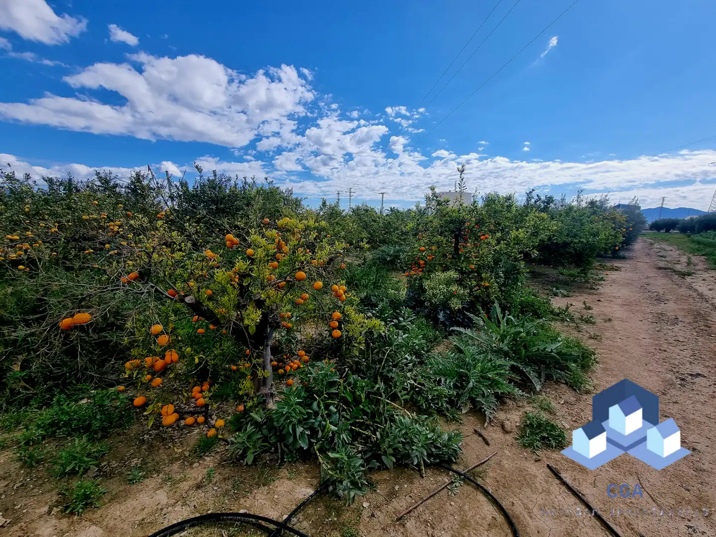 Casa o xalet en venda en Lorca amb Aire condicionat, Calefacció i Jardí privat
