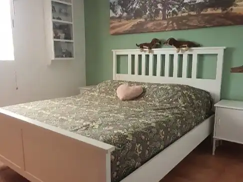 Villa con giardino in vendita a Carrer Nou 10, imagen 27