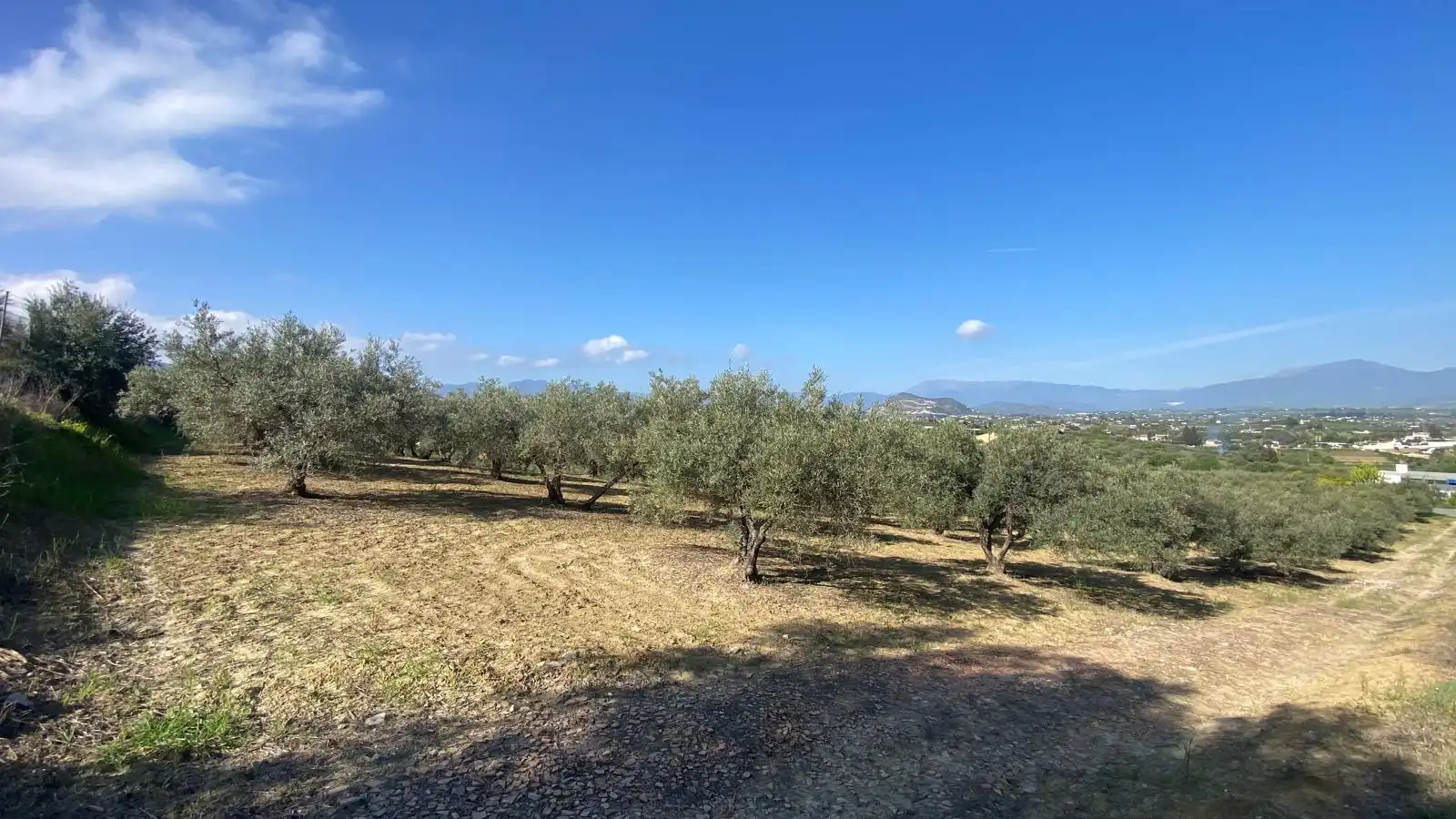 Terreni e lotti in vendita a Centro, imagen 10
