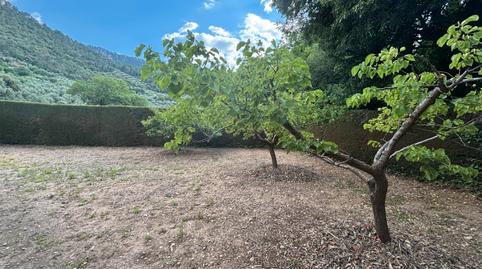 Foto 5 de Finca rústica en venda a A-6301, Beas de Segura, Jaén
