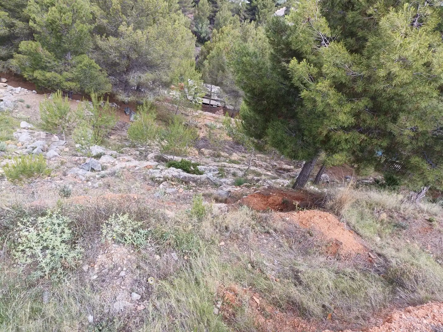 Lands and plots for sale in Borriol, imagen 4