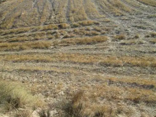 Terrains et parcelles à vendre à Lg Castañeda y Umbrías de La Pinosa, Pol 313, imagen 8