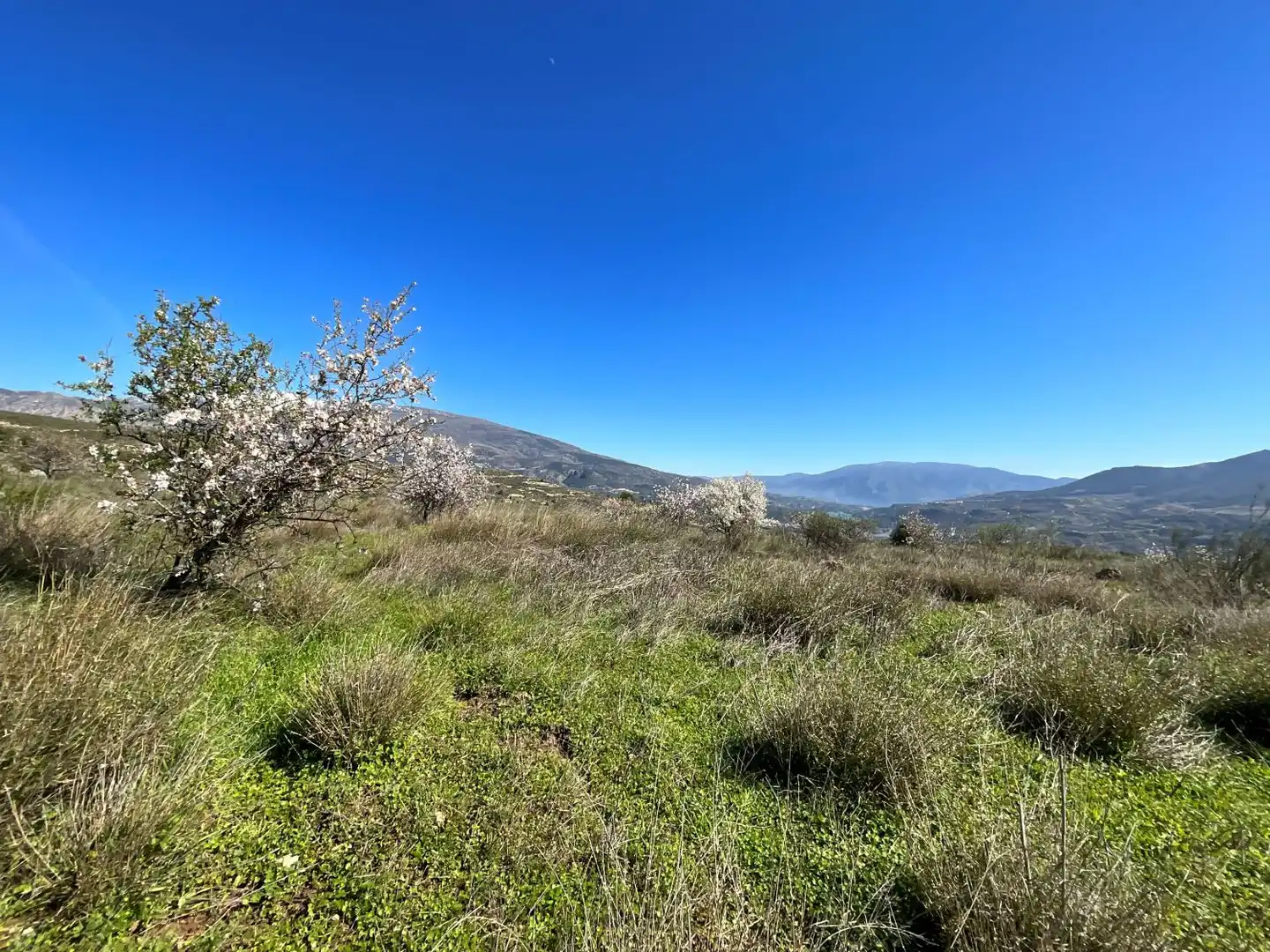 Terreni e lotti in vendita a El marchal, El valle, imagen 41