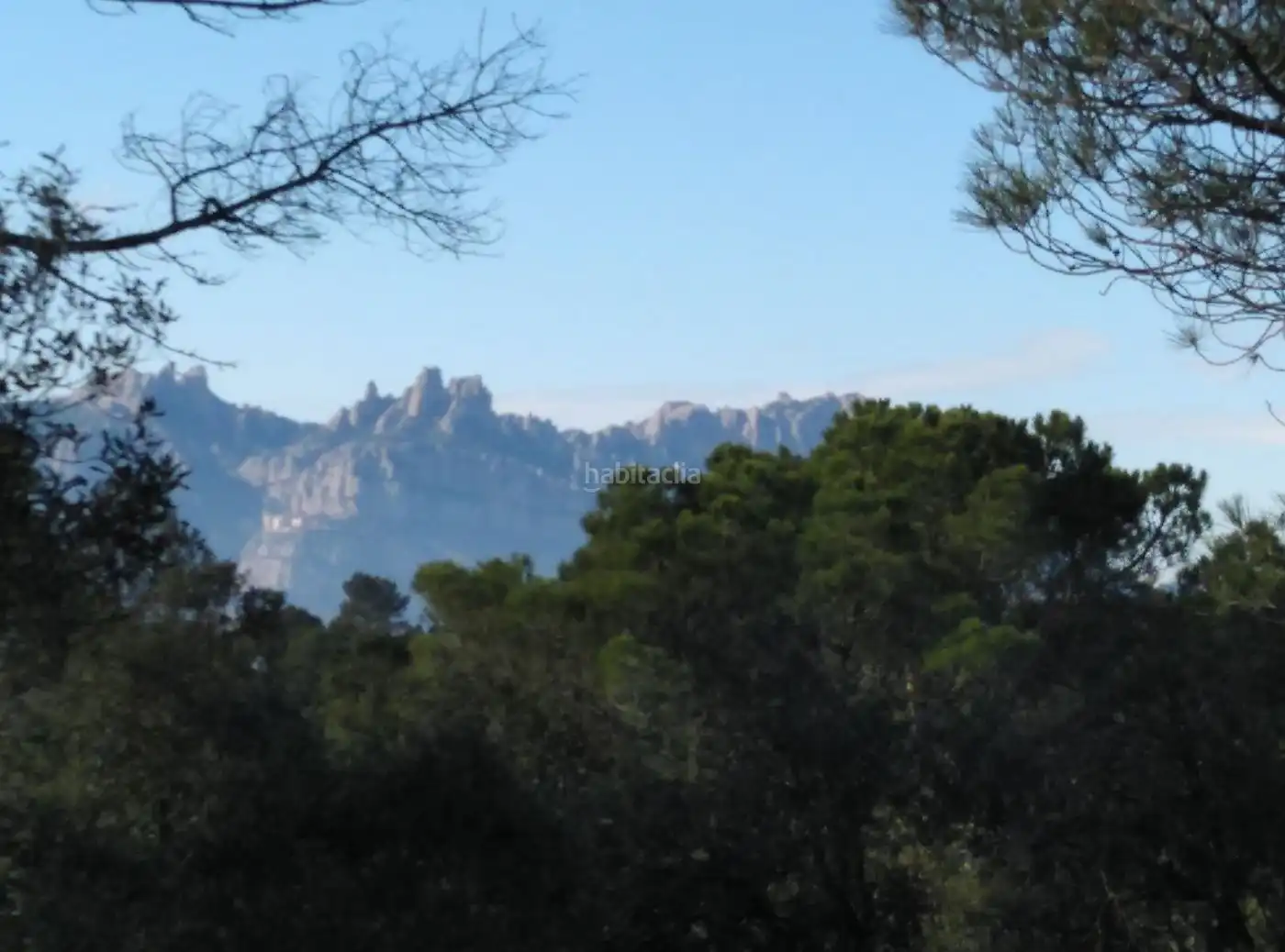 Terreny residencial en venda a Carrer Torrent del Llort 37