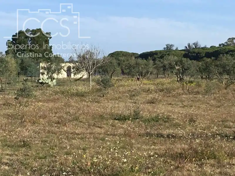 Finca rústica en venta en Almonte