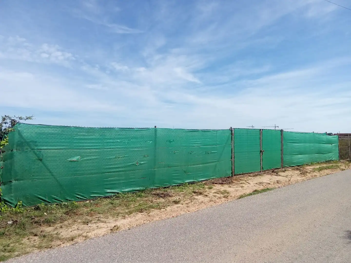 Terreny rústic en venda a San Pedro del Pinatar, imagen 4