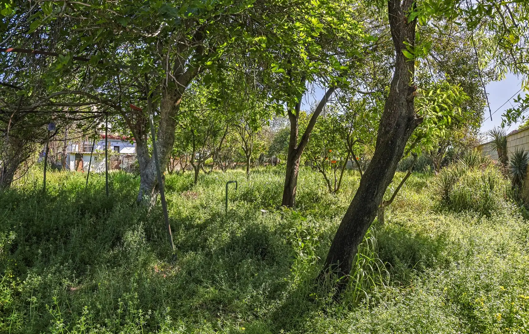 Casa o xalet en venda en Sanlúcar la Mayor amb Aire condicionat i Piscina
