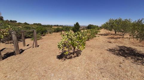 Photo 5 of Country house for sale in Jerte, Cáceres