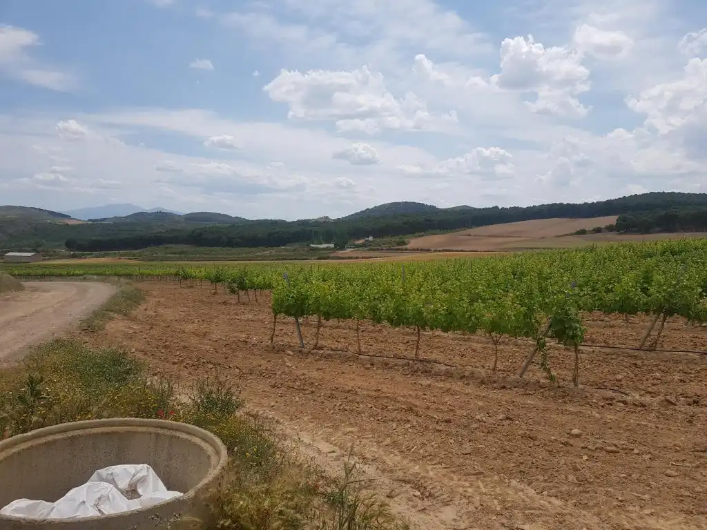 Rural land for sale in c/ palancona, imagen 4