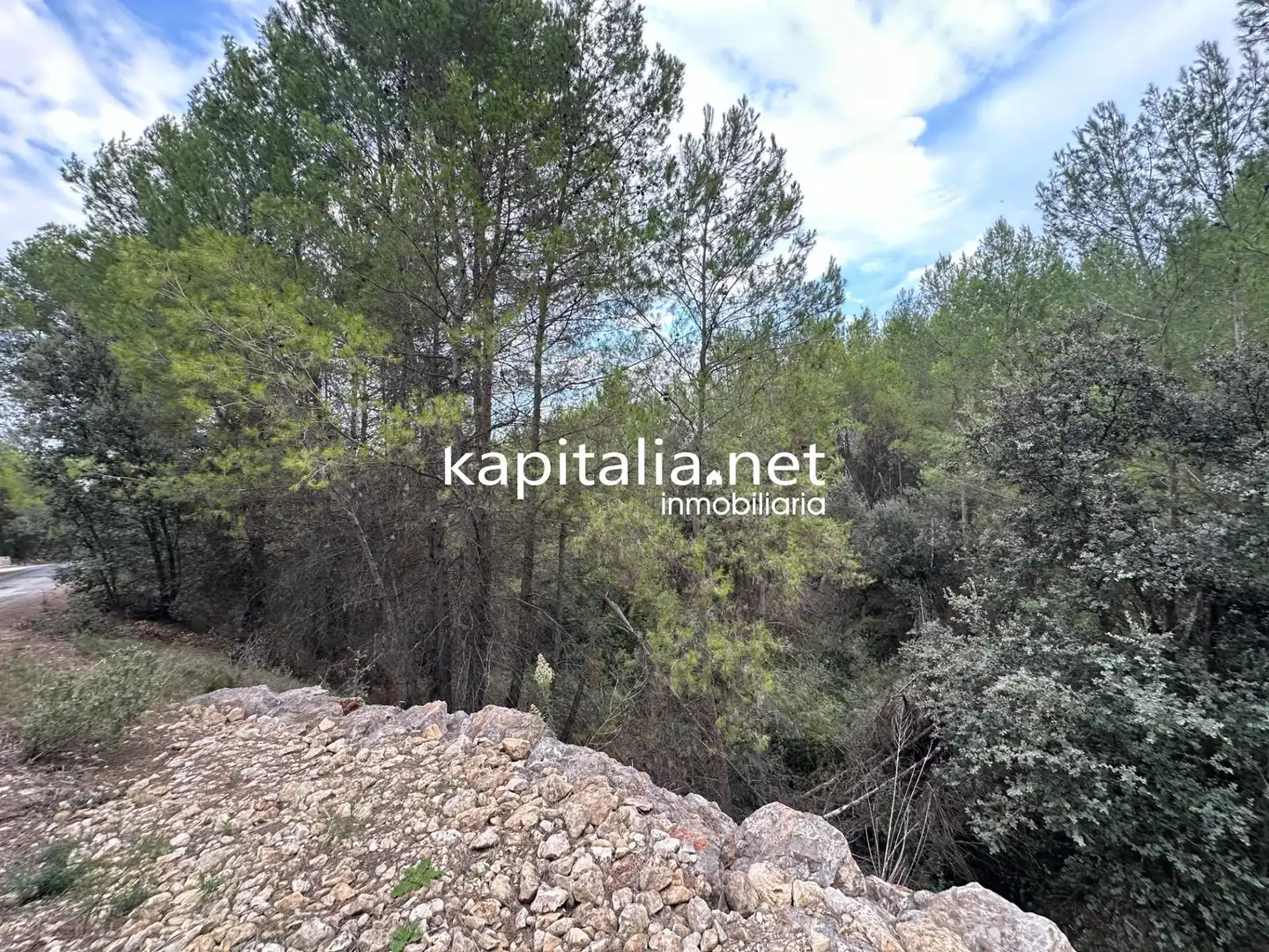 Terreno residencial en venta en Alfafara, imagen 5