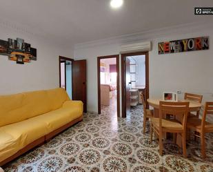 Apartament per a compartir a Trinitat