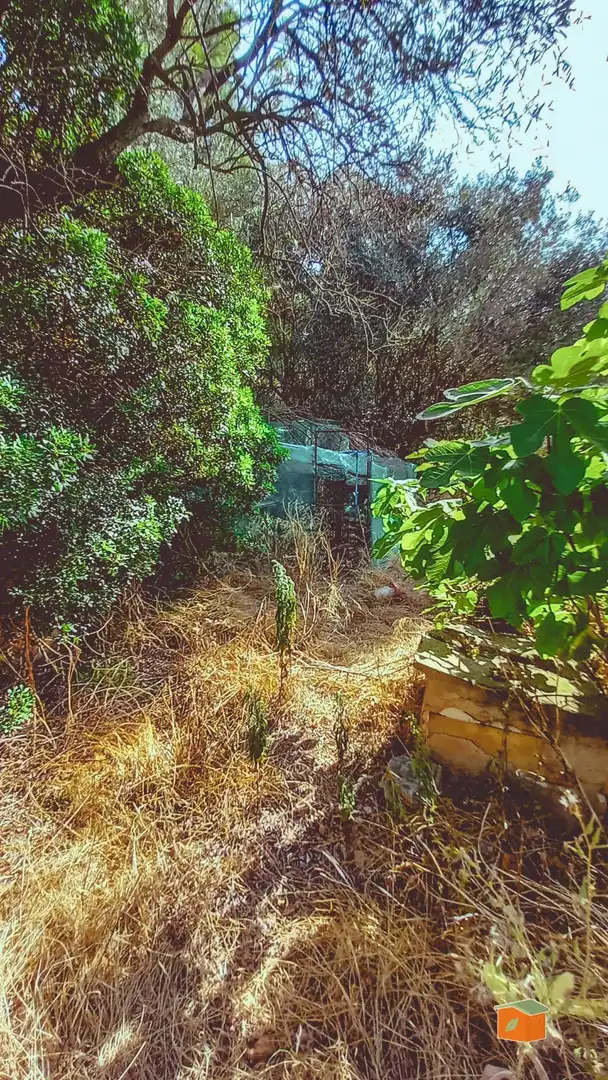 Garten von Country house zum Verkauf in Alfara de Carles mit Klimaanlage, Privatgarten und Abstellraum