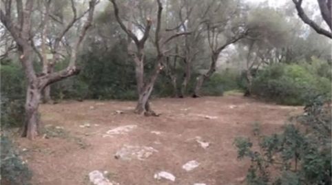Foto 4 de Finca rústica en venda a Camí de Sa Tortuga, Felanitx Poble, Felanitx