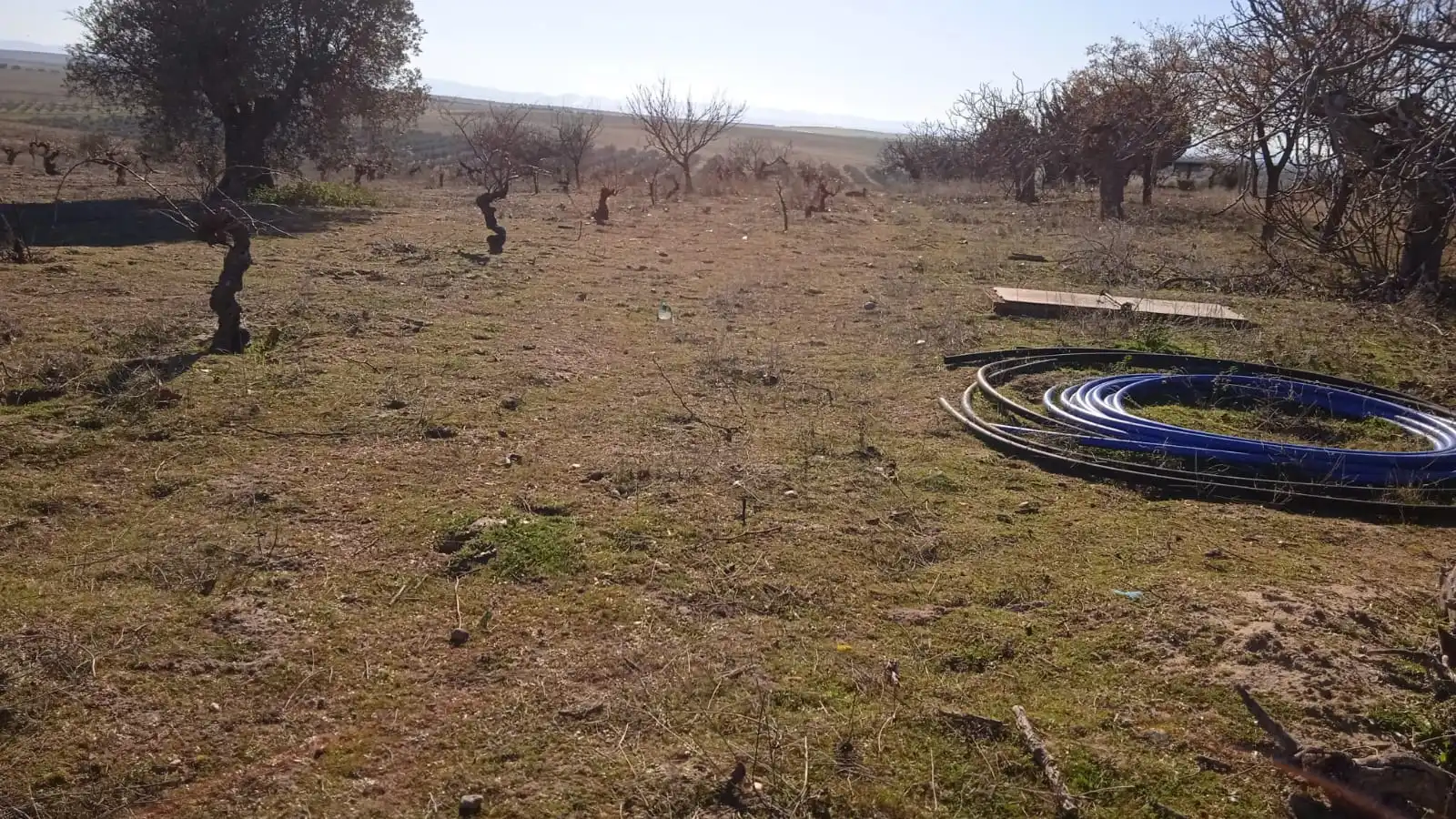 Terreno en venta en Illán de Vacas