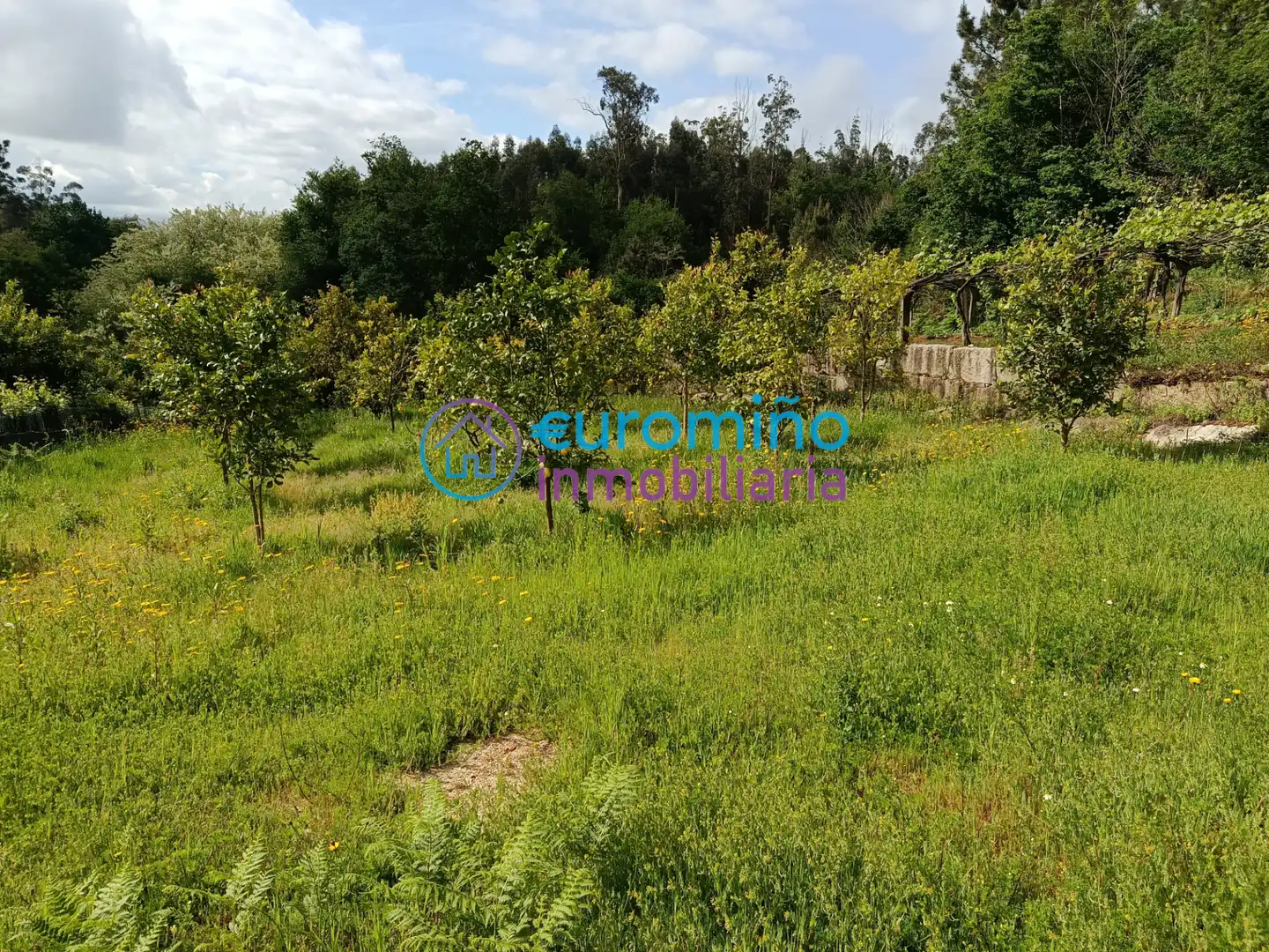 Casa o chalet en venta en Salvaterra de Miño con Jardín privado, Terraza y Trastero