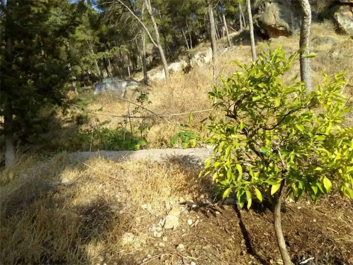 Terreno en venta en Pedanías Este