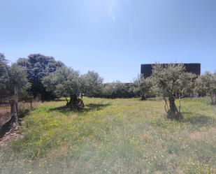 Residential for sale in Malpartida de Plasencia