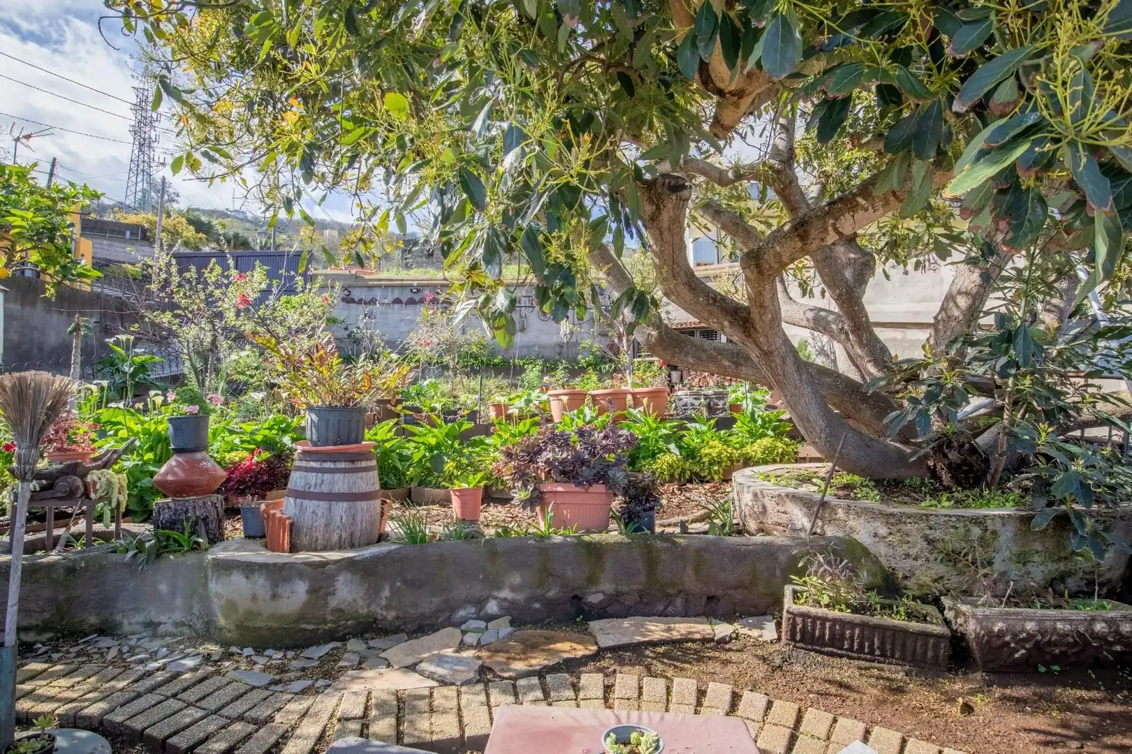 Jardí de Casa adosada en venda en La Orotava