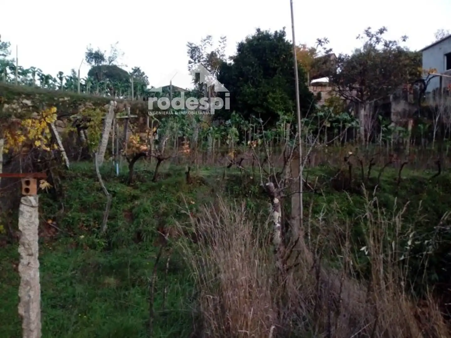Casa o chalet en venta en Arbo