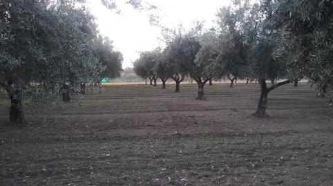 Foto 4 de Finca rústica en venda a La Zubia Ciudad, La Zubia