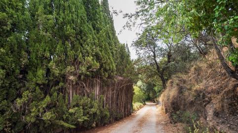 Photo 5 of Country house for sale in  Aynadamar, Sn, Haza Grande, Granada