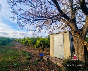 Finca rústica en venda en Almazora / Almassora