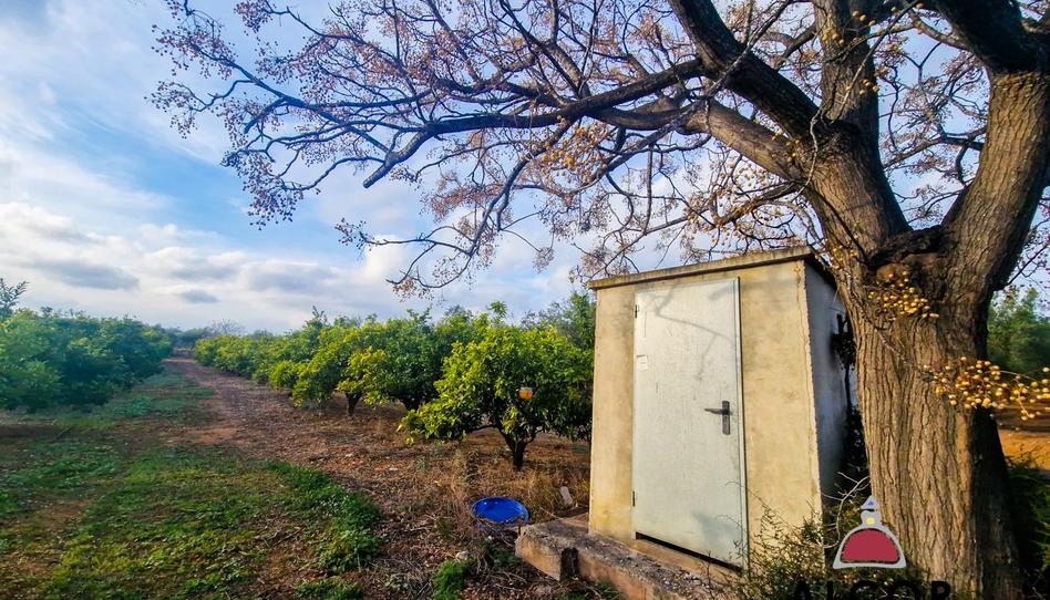 Foto 1 de Finca rústica en venda a 16, Casco Antiguo - Darremur, Castellón