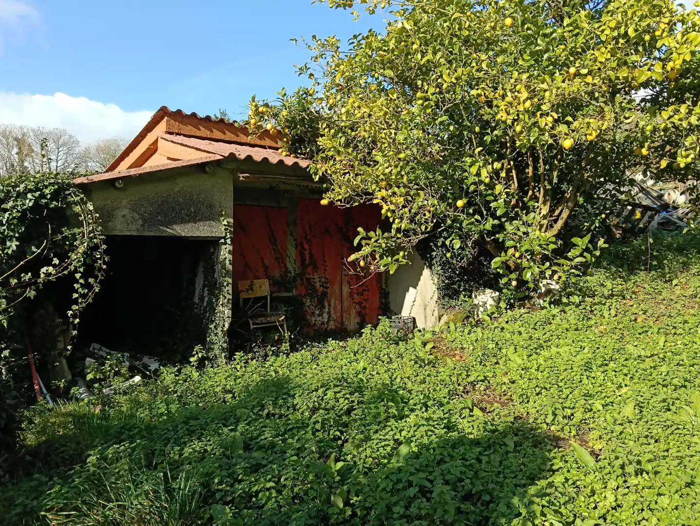 Casa o chalet en venta en Cesuras con Jardín privado