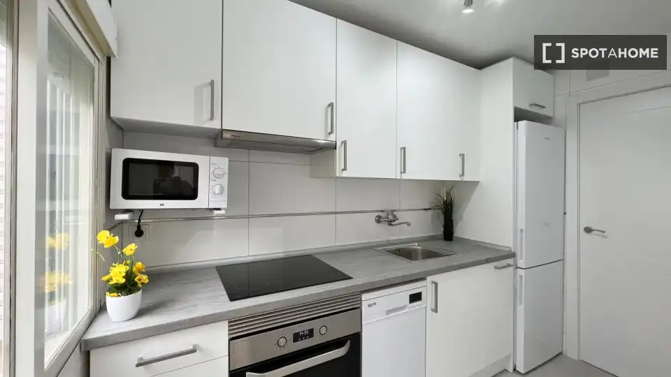 Kitchen of Flat for rent in Madrid  with Air Conditioner, Heating and Furnished