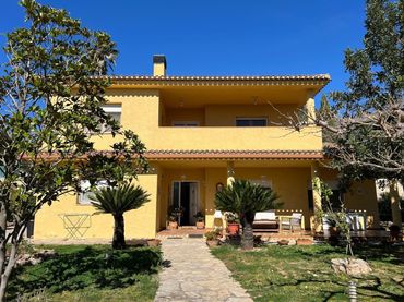 Chalet en venta en El Pilar