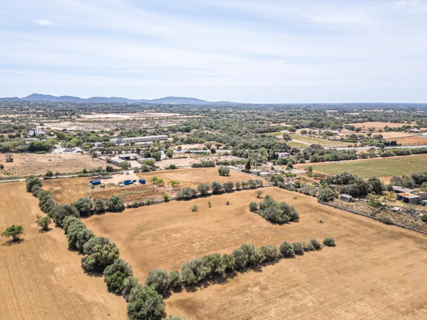 Terreno rustico in vendita a Felanitx Poble, imagen 9