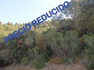 Terreno rustico in vendita a L'Aleixar