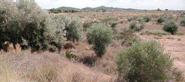 Terreno en Venta en Moralet