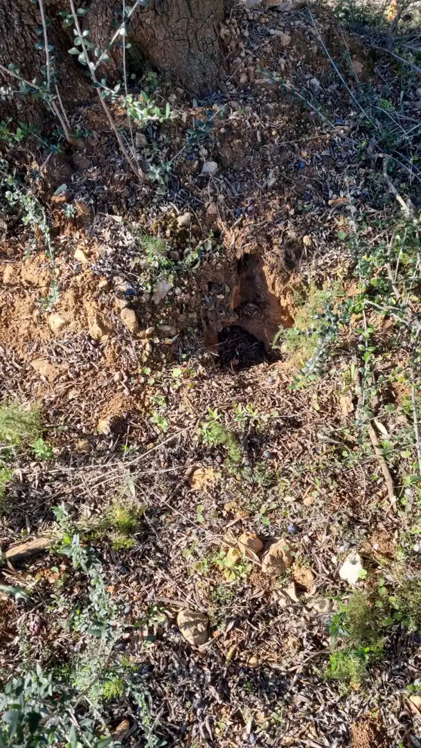 Residencial en venda en Vilafamés